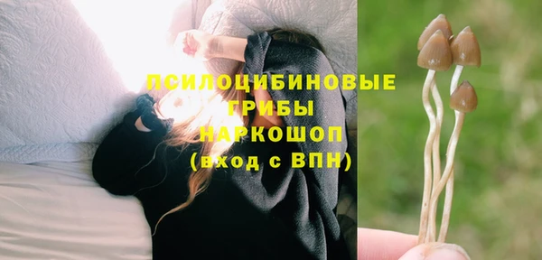 соль ск Арсеньев