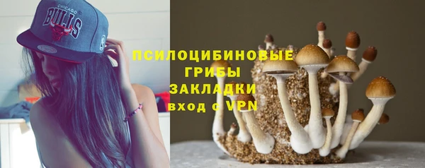 синтетический гашиш Армянск