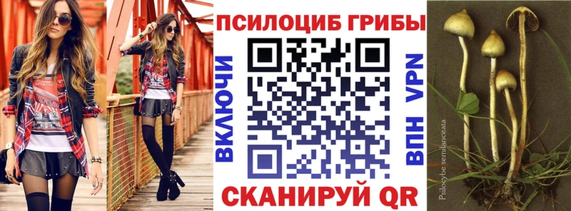 Псилоцибиновые грибы Psilocybine cubensis дарнет шоп Сычёвка